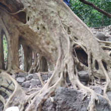 El Tepozteco El Tepozteco