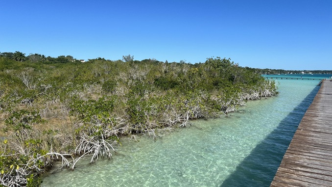 Foto: Mexico-Info /Ecoparque Bacalar, Quintana Roo